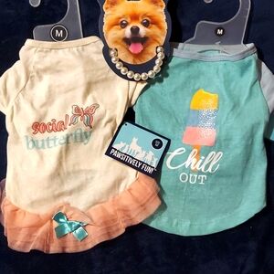 New 3 piece Pet Clothing